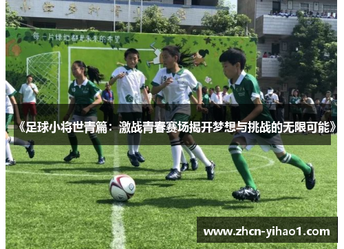 《足球小将世青篇：激战青春赛场揭开梦想与挑战的无限可能》